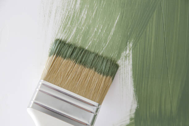 Dehumidification Services in Cape Canaveral, FL